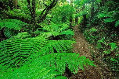 像素风种田新游？废土末日版星露谷等你来玩